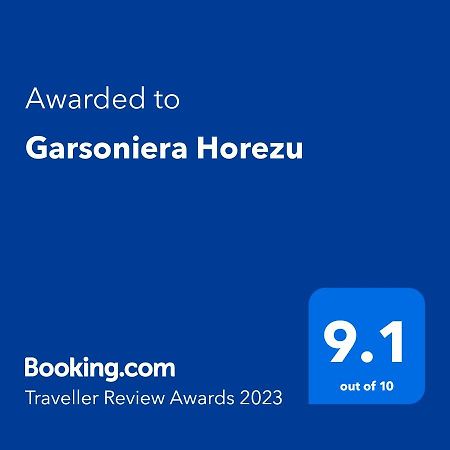 Garsoniera Horezu Lägenhet Exteriör bild