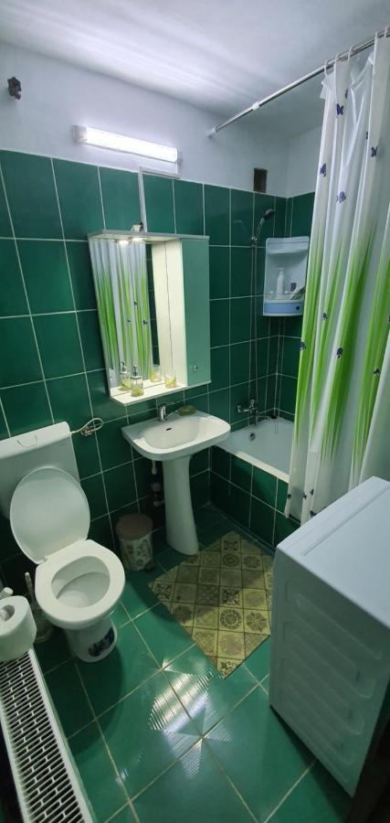 Garsoniera Horezu Lägenhet Exteriör bild