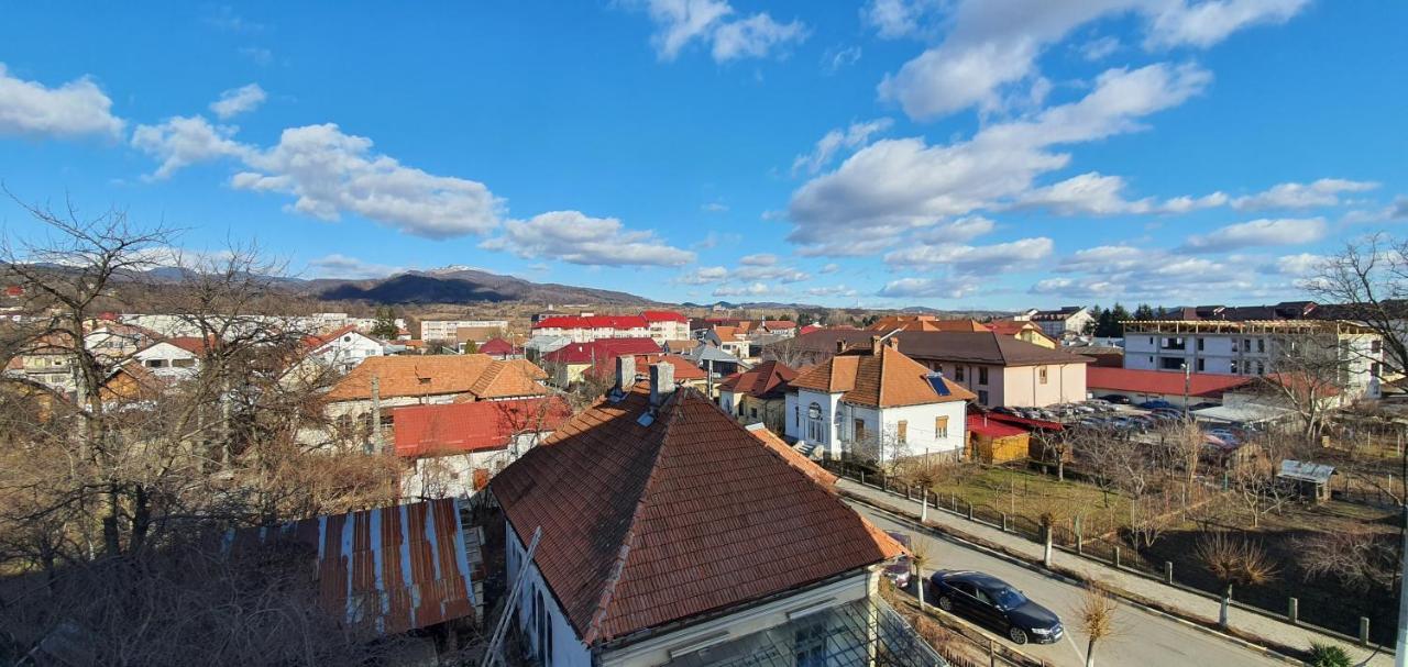 Garsoniera Horezu Lägenhet Exteriör bild